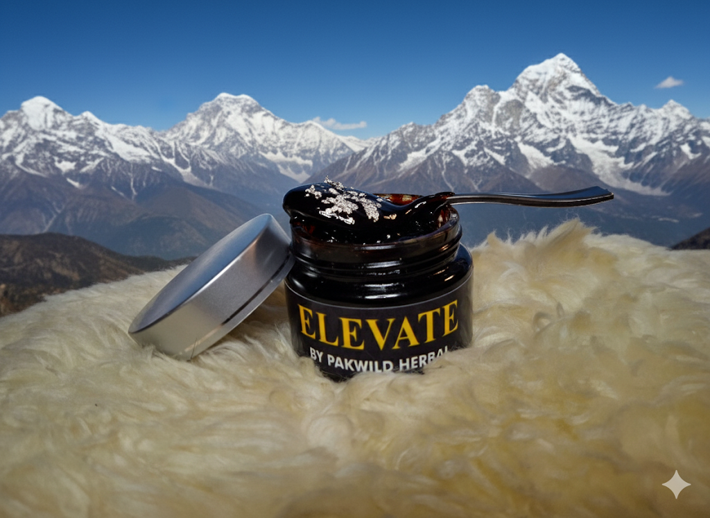ELEVATE Shilajit Herbal 20g – Natural Mineral Resin from the Himalayas