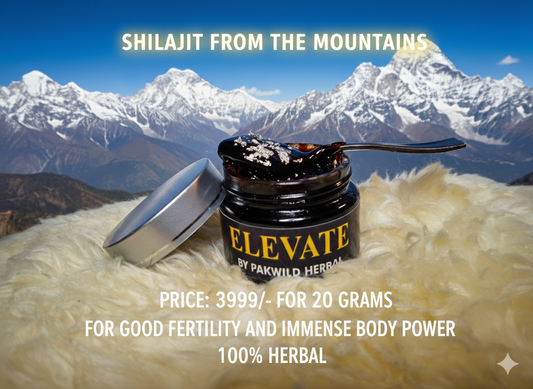 ELEVATE Shilajit Herbal 20g – Natural Mineral Resin from the Himalayas