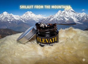 Buy 100% authentic Himalayan Shilajit (200g) from Pakistan. Pure herbal resin packed with minerals & fulvic acid for natural strength, stamina, and energy. Free shipping & quality guaranteed.